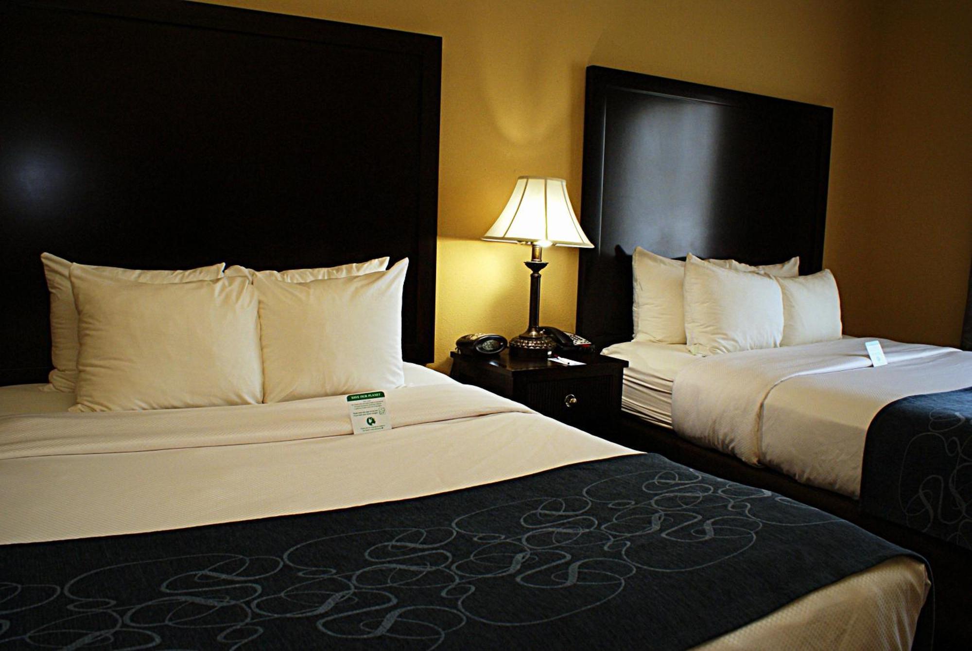 Comfort Suites Frisco Rom bilde